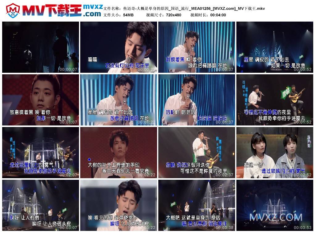 焦迈奇-大概是单身的原因_国语_流行_MEA01256